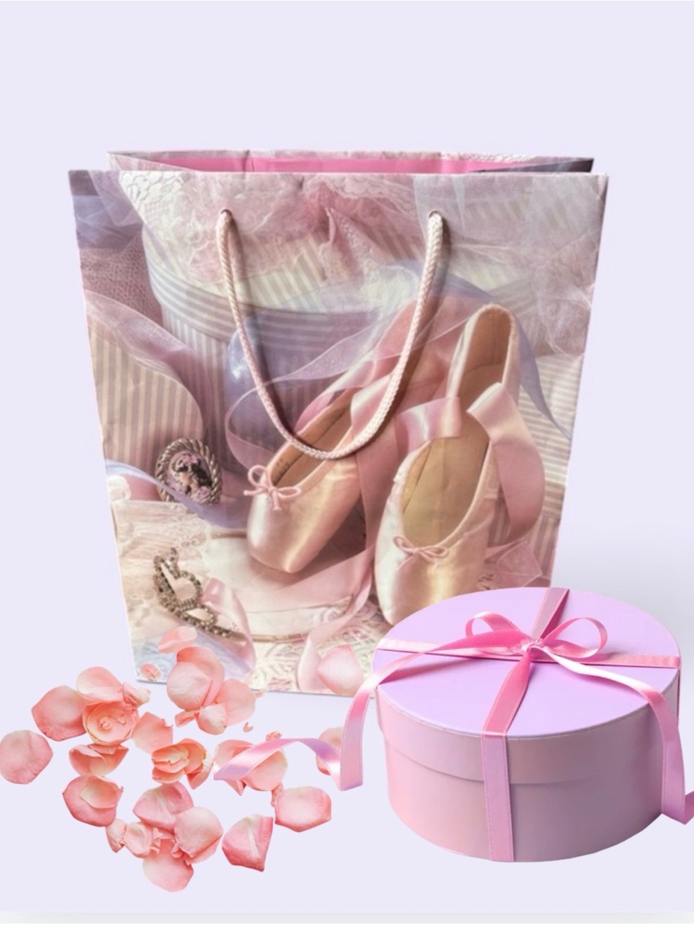 Vintage Flomo Pink Ballet Slippers Gift Bag